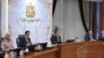 بشرى للمصنعين والمزارعين.. قرار جديد من مجلس الوزراء بشأن مبادرة دعم القطاعات الإنتاجية 1